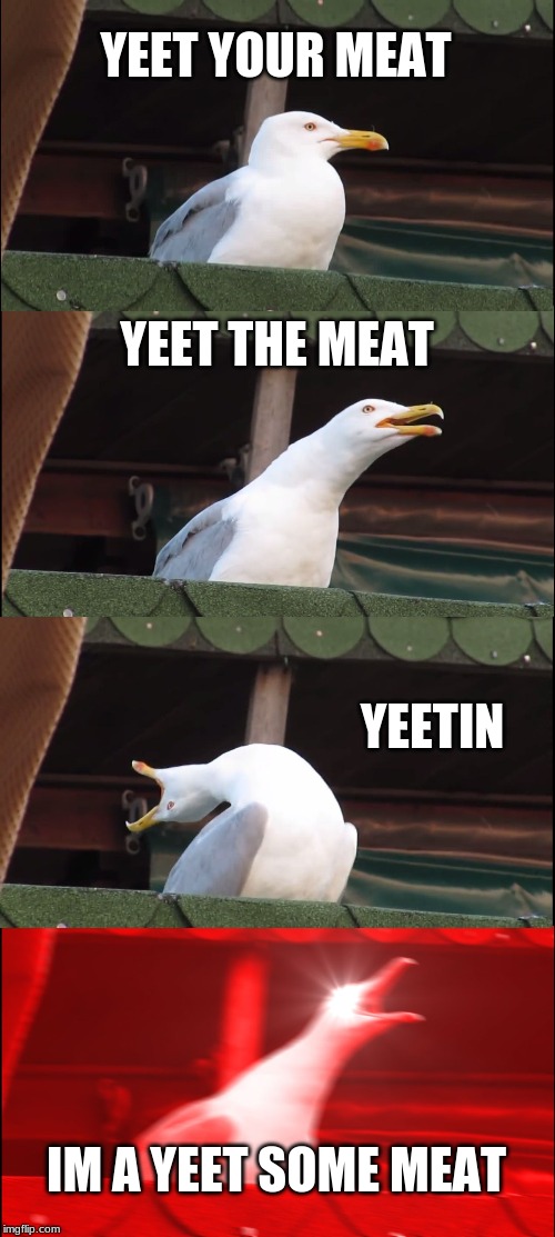 Inhaling Seagull | YEET YOUR MEAT; YEET THE MEAT; YEETIN; IM A YEET SOME MEAT | image tagged in memes,inhaling seagull | made w/ Imgflip meme maker