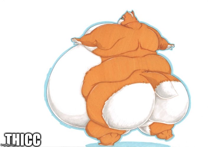 fox | THICC | image tagged in fat,fox | made w/ Imgflip meme maker