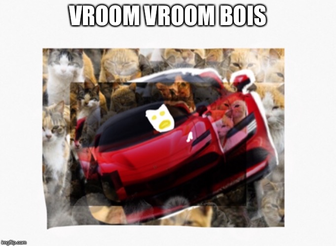 This Was not made by me, credits to my friend | VROOM VROOM BOIS | image tagged in vroom vroom,cats,car | made w/ Imgflip meme maker