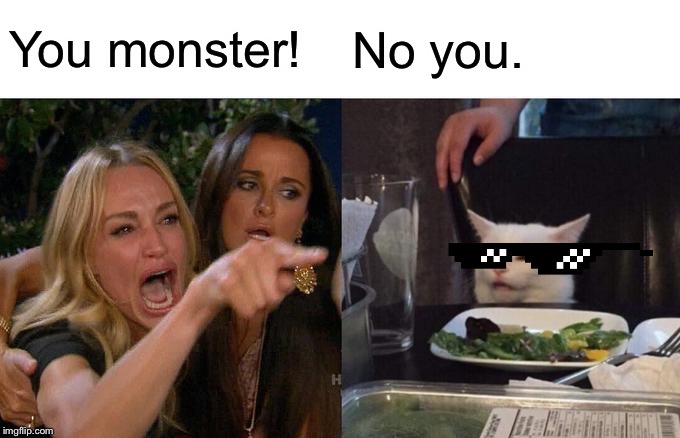 Woman Yelling At Cat Meme | You monster! No you. | image tagged in memes,woman yelling at cat | made w/ Imgflip meme maker