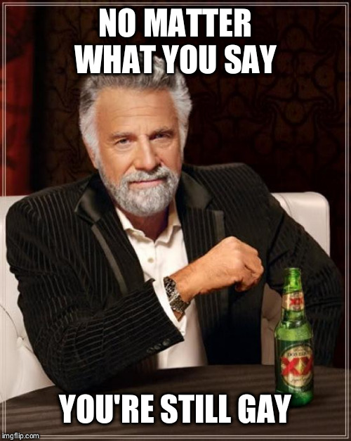 The Most Interesting Man In The World Meme | NO MATTER WHAT YOU SAY; YOU'RE STILL GAY | image tagged in memes,the most interesting man in the world | made w/ Imgflip meme maker