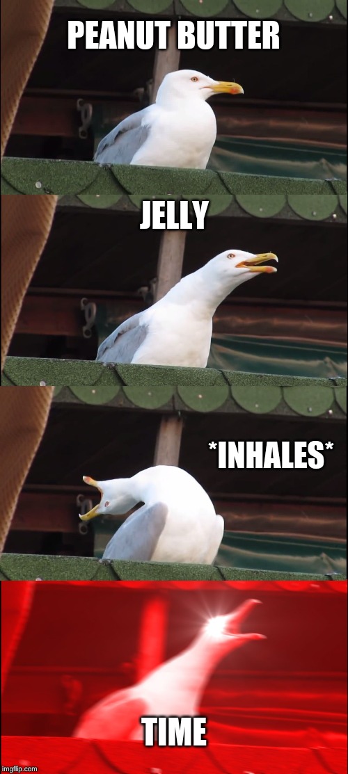 Inhaling Seagull Meme | PEANUT BUTTER JELLY *INHALES* TIME | image tagged in memes,inhaling seagull | made w/ Imgflip meme maker