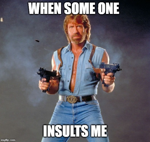 Chuck Norris Guns | WHEN SOME ONE; INSULTS ME | image tagged in memes,chuck norris guns,chuck norris | made w/ Imgflip meme maker