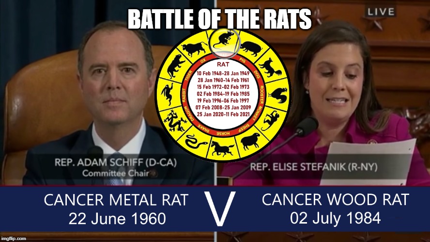 Year of the Rat 2020 | BATTLE OF THE RATS | image tagged in adam schiff,impeachment,liar,rats,democrat | made w/ Imgflip meme maker