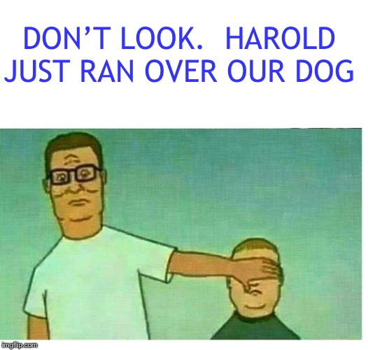 HANK HILL BOBBY HILL "DON'T LOOK SON" | DON’T LOOK.  HAROLD JUST RAN OVER OUR DOG | image tagged in hank hill bobby hill don't look son | made w/ Imgflip meme maker