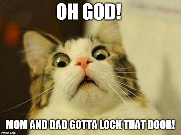Scared Cat Meme | OH GOD! MOM AND DAD GOTTA LOCK THAT DOOR! | image tagged in memes,scared cat | made w/ Imgflip meme maker