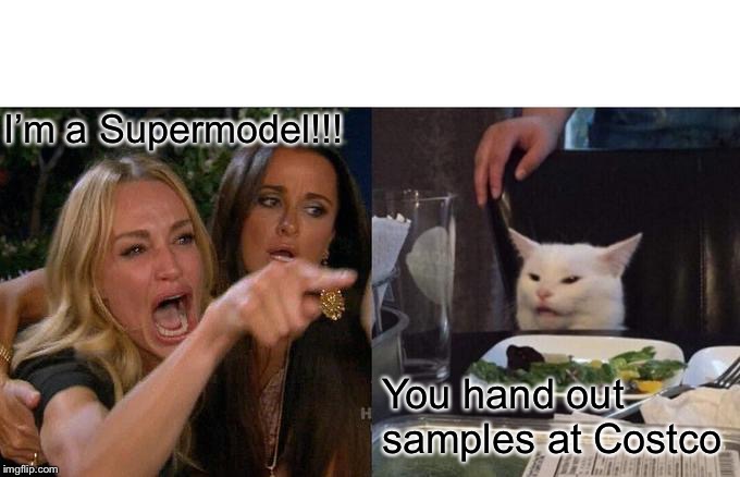 Woman Yelling At Cat Meme | I’m a Supermodel!!! You hand out samples at Costco | image tagged in memes,woman yelling at cat | made w/ Imgflip meme maker