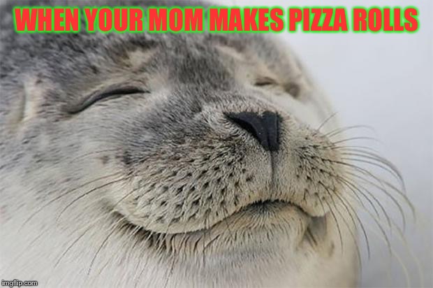 Satisfied Seal | WHEN YOUR MOM MAKES PIZZA ROLLS | image tagged in memes,satisfied seal | made w/ Imgflip meme maker
