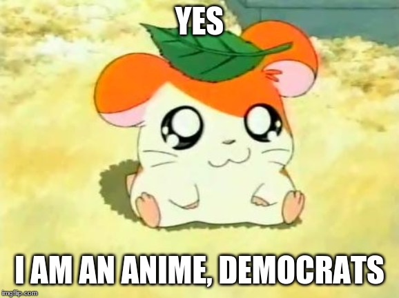Hamtaro Meme | YES I AM AN ANIME, DEMOCRATS | image tagged in memes,hamtaro | made w/ Imgflip meme maker