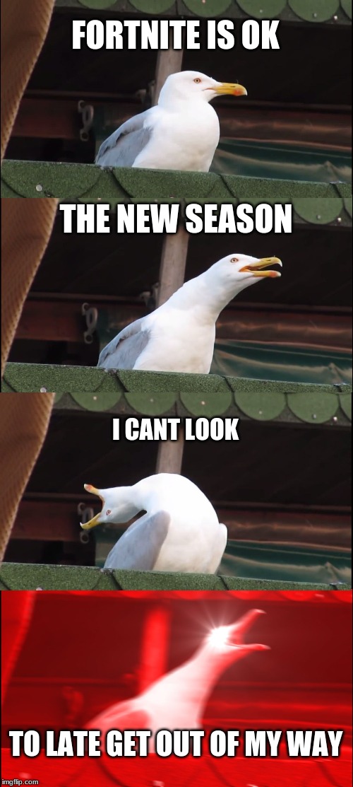 Inhaling Seagull | FORTNITE IS OK; THE NEW SEASON; I CANT LOOK; TO LATE GET OUT OF MY WAY | image tagged in memes,inhaling seagull | made w/ Imgflip meme maker
