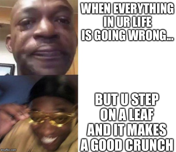 Enjoy the little things | WHEN EVERYTHING IN UR LIFE IS GOING WRONG... BUT U STEP ON A LEAF AND IT MAKES A GOOD CRUNCH | image tagged in memes,epic | made w/ Imgflip meme maker