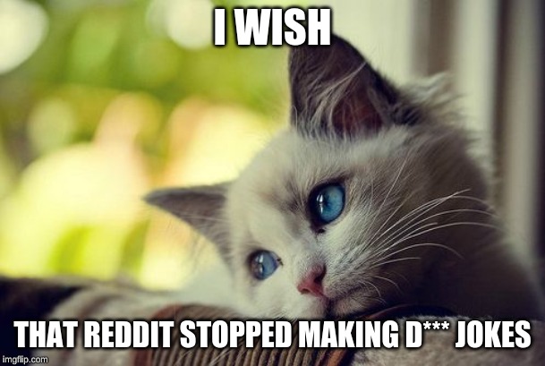 First World Problems Cat | I WISH; THAT REDDIT STOPPED MAKING D*** JOKES | image tagged in memes,first world problems cat | made w/ Imgflip meme maker