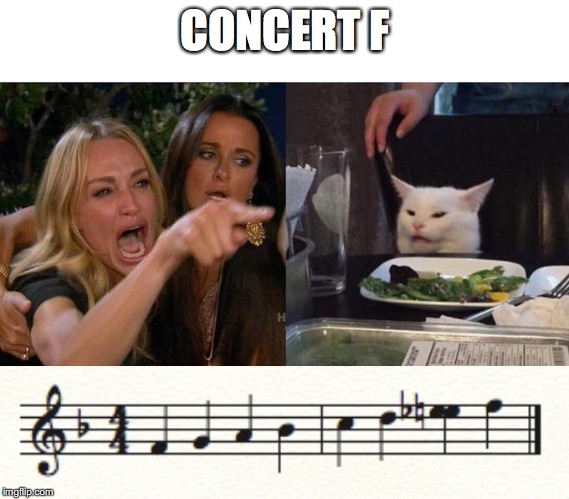 CONCERT F | image tagged in memes,woman yelling at cat | made w/ Imgflip meme maker