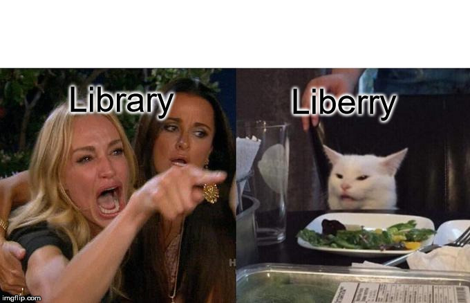 Woman Yelling At Cat Meme | Library; Liberry | image tagged in memes,woman yelling at cat | made w/ Imgflip meme maker