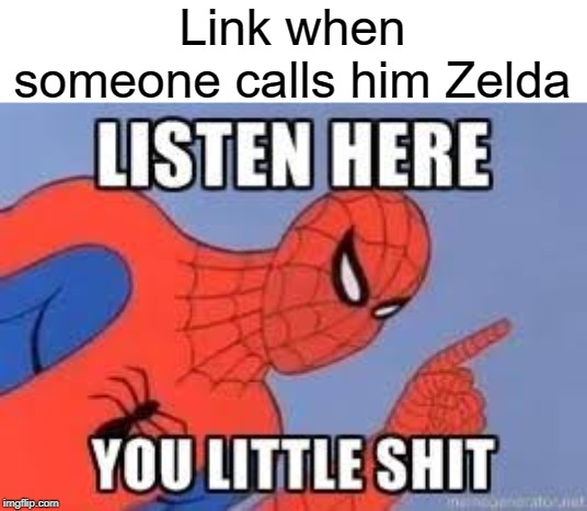 listen here ya little shit | Link when someone calls him Zelda | image tagged in now listen here you little shit,funny,memes,legend of zelda,link | made w/ Imgflip meme maker