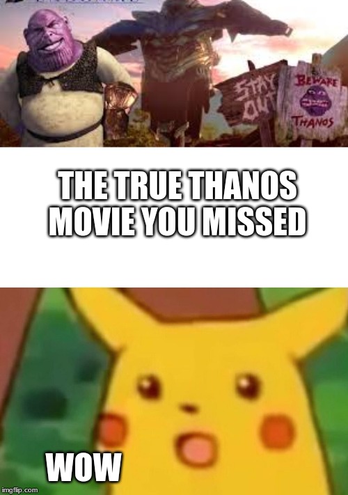 THE TRUE THANOS MOVIE YOU MISSED; WOW | image tagged in memes,surprised pikachu | made w/ Imgflip meme maker