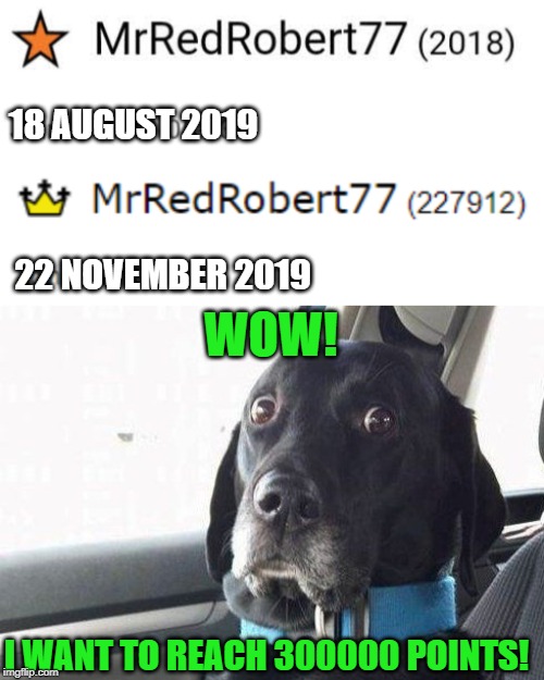 i want to reach 300000 points! PLEASE UPVOTE ALL :) | 18 AUGUST 2019; WOW! 22 NOVEMBER 2019; I WANT TO REACH 300000 POINTS! | image tagged in suprised dog,upvotes | made w/ Imgflip meme maker