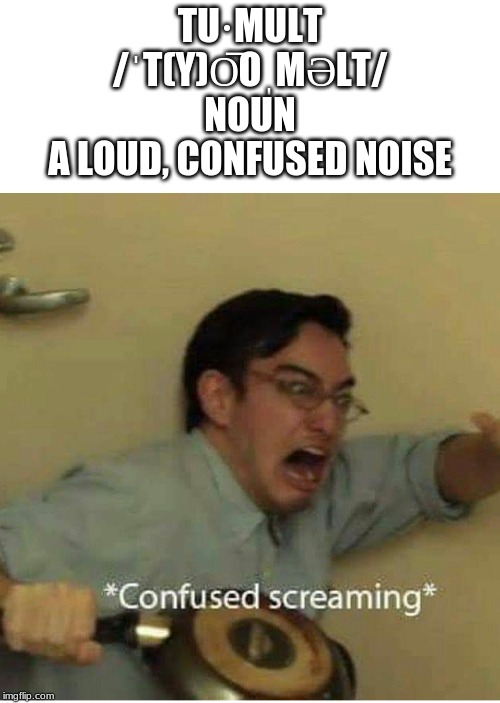 confused screaming | TU·MULT
/ˈT(Y)O͞OˌMƏLT/
NOUN
A LOUD, CONFUSED NOISE | image tagged in confused screaming | made w/ Imgflip meme maker