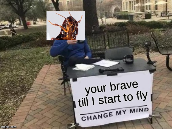 Change My Mind Meme | your brave till I start to fly | image tagged in memes,change my mind | made w/ Imgflip meme maker