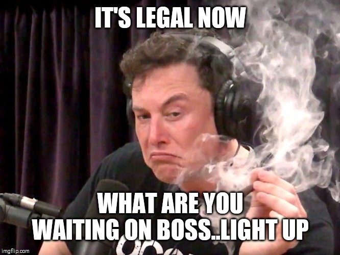 Jroc113 | IT'S LEGAL NOW; WHAT ARE YOU WAITING ON BOSS..LIGHT UP | image tagged in elon musk weed | made w/ Imgflip meme maker