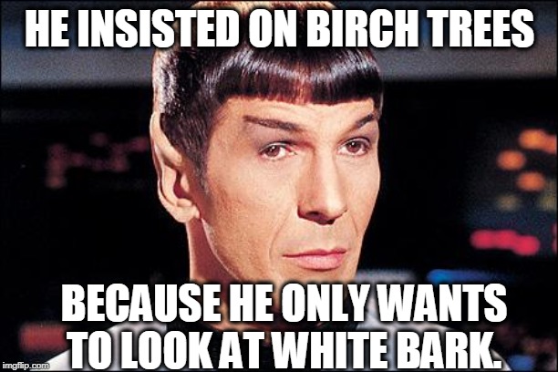 Condescending Spock | HE INSISTED ON BIRCH TREES BECAUSE HE ONLY WANTS TO LOOK AT WHITE BARK. | image tagged in condescending spock | made w/ Imgflip meme maker