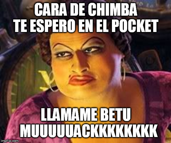 travesti de shrek | CARA DE CHIMBA TE ESPERO EN EL POCKET; LLAMAME BETU   MUUUUUACKKKKKKKK | image tagged in travesti de shrek | made w/ Imgflip meme maker