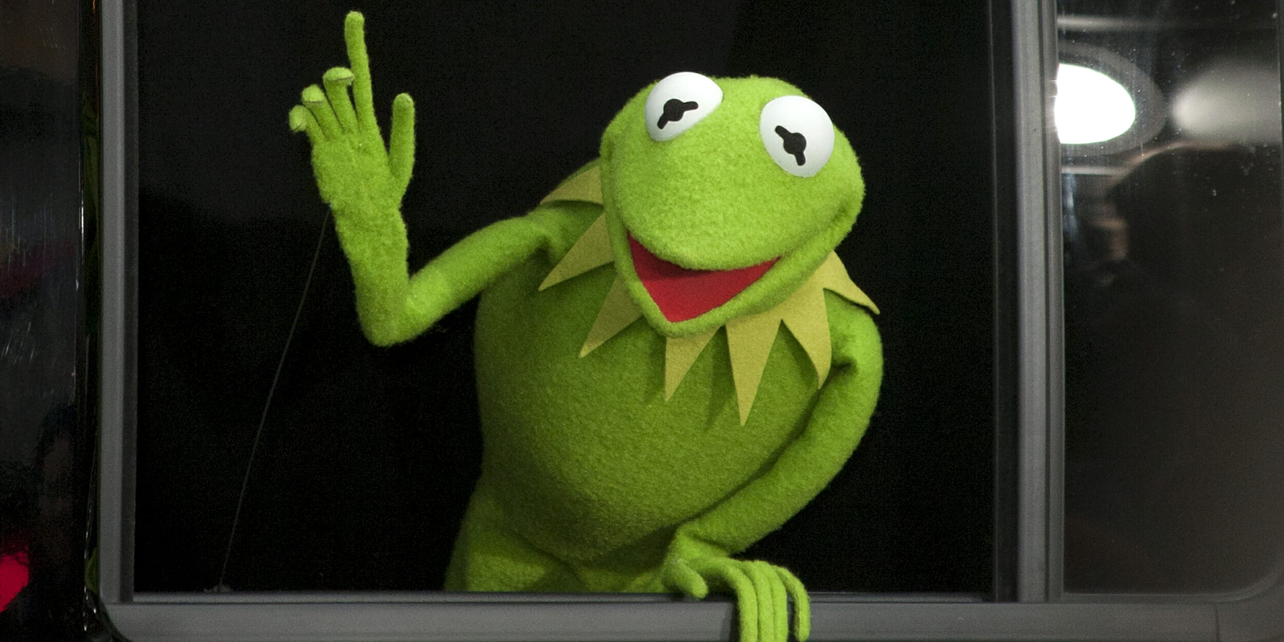 Kermit the Frog Important Point Blank Template Imgflip