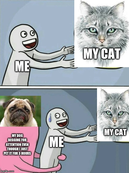 Running Away Balloon | MY CAT; ME; MY CAT; MY DOG BEGGING FOR ATTENTION EVEN THOUGH I JUST PET IT FOR 3 HOURS; ME | image tagged in memes,running away balloon | made w/ Imgflip meme maker