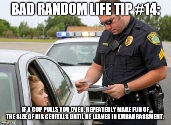 TRAFFIC COP | BAD RANDOM LIFE TIP #14:; IF A COP PULLS YOU OVER, REPEATEDLY MAKE FUN OF THE SIZE OF HIS GENITALS UNTIL HE LEAVES IN EMBARRASSMENT. | image tagged in traffic cop | made w/ Imgflip meme maker