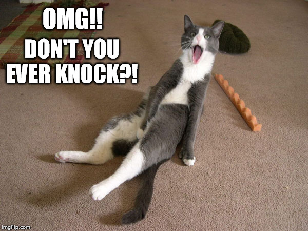 OMG!! DON'T YOU EVER KNOCK?! | made w/ Imgflip meme maker