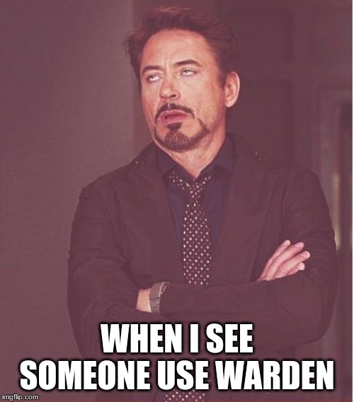 Face You Make Robert Downey Jr Meme | WHEN I SEE SOMEONE USE WARDEN | image tagged in memes,face you make robert downey jr | made w/ Imgflip meme maker