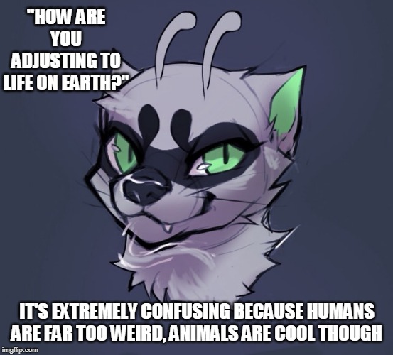 whackaloon | "HOW ARE YOU ADJUSTING TO LIFE ON EARTH?"; IT'S EXTREMELY CONFUSING BECAUSE HUMANS ARE FAR TOO WEIRD, ANIMALS ARE COOL THOUGH | image tagged in alien | made w/ Imgflip meme maker