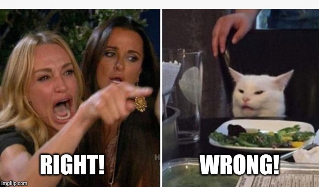 Drunk lady and cat | RIGHT!                      WRONG! | image tagged in drunk lady and cat | made w/ Imgflip meme maker