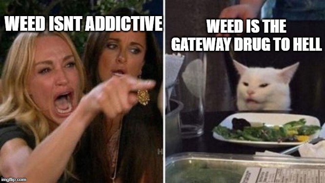 lady yelling at cat | WEED IS THE GATEWAY DRUG TO HELL; WEED ISNT ADDICTIVE | image tagged in lady yelling at cat | made w/ Imgflip meme maker