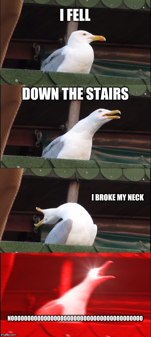Inhaling Seagull Meme | I FELL; DOWN THE STAIRS; I BROKE MY NECK; NOOOOOOOOOOOOOOOOOOOOOOOOOOOOOOOOOOOOOOOO | image tagged in memes,inhaling seagull | made w/ Imgflip meme maker
