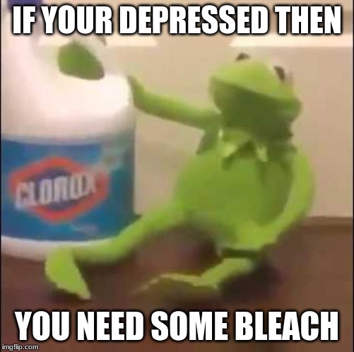 Kermit Bleach | IF YOUR DEPRESSED THEN; YOU NEED SOME BLEACH | image tagged in kermit bleach | made w/ Imgflip meme maker