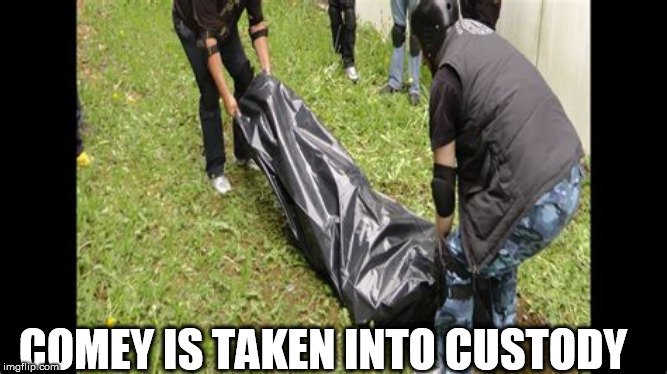 body bag | COMEY IS TAKEN INTO CUSTODY | image tagged in body bag | made w/ Imgflip meme maker