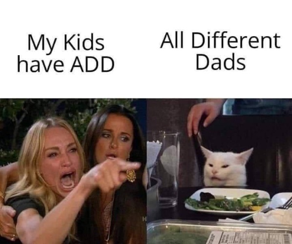 ADD = All Different Dads | image tagged in attention deficit disorder,all different dads,hohoho,promiscuous,town pump,smudge the cat | made w/ Imgflip meme maker