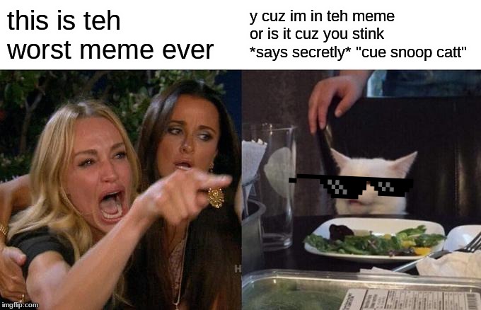 Woman Yelling At Cat | this is teh worst meme ever; y cuz im in teh meme or is it cuz you stink *says secretly* "cue snoop catt" | image tagged in memes,woman yelling at cat,snoop catt,cat,stink,roasting | made w/ Imgflip meme maker