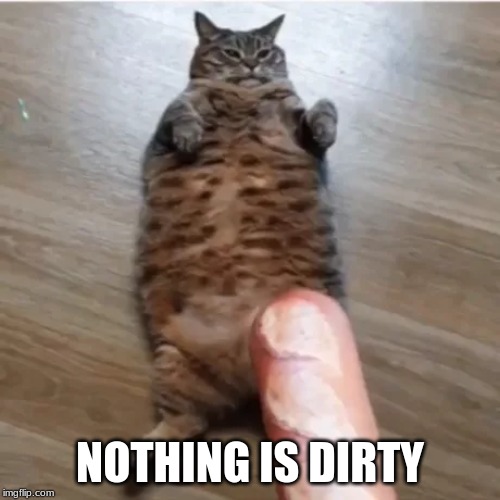 NOTHING IS DIRTY | made w/ Imgflip meme maker