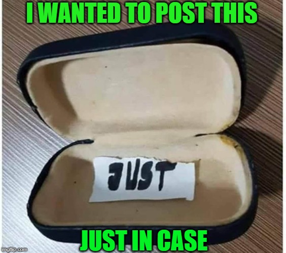 Very Punny ! | I WANTED TO POST THIS; JUST IN CASE | image tagged in just,case | made w/ Imgflip meme maker