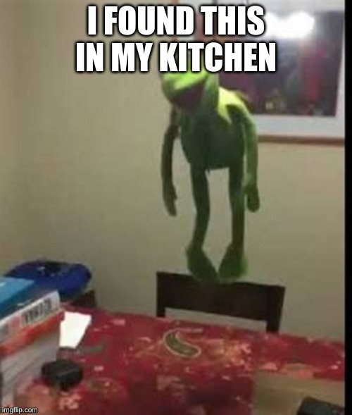 hanging kermit | I FOUND THIS IN MY KITCHEN | image tagged in hanging kermit | made w/ Imgflip meme maker