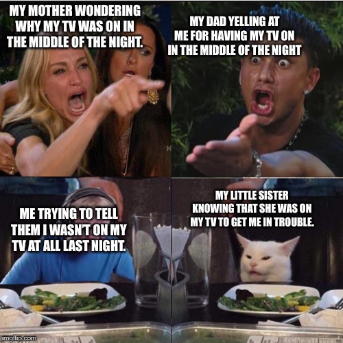Four panel Taylor Armstrong Pauly D CallmeCarson Cat | MY MOTHER WONDERING WHY MY TV WAS ON IN THE MIDDLE OF THE NIGHT. MY DAD YELLING AT ME FOR HAVING MY TV ON IN THE MIDDLE OF THE NIGHT; MY LITTLE SISTER KNOWING THAT SHE WAS ON MY TV TO GET ME IN TROUBLE. ME TRYING TO TELL THEM I WASN’T ON MY TV AT ALL LAST NIGHT. | image tagged in four panel taylor armstrong pauly d callmecarson cat | made w/ Imgflip meme maker