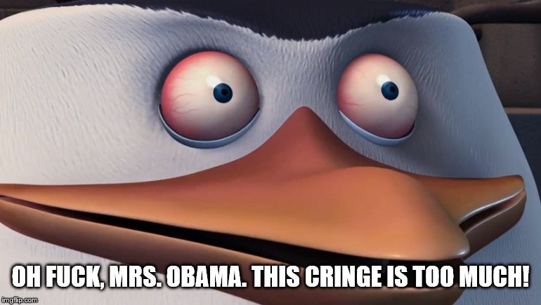 Shook Skipper | OH F**K, MRS. OBAMA. THIS CRINGE IS TOO MUCH! | image tagged in shook skipper | made w/ Imgflip meme maker