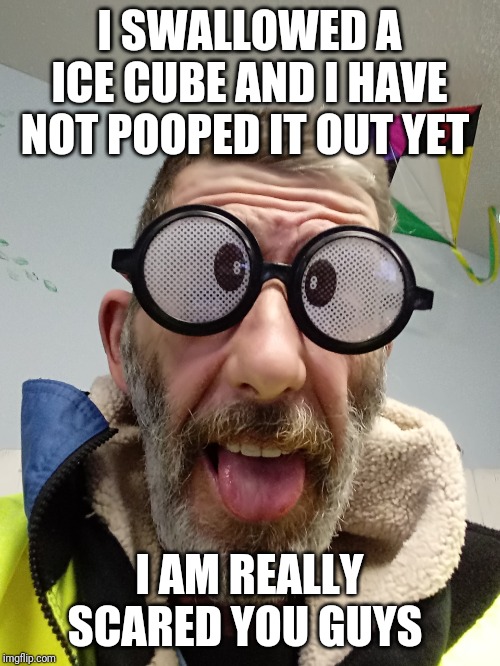 Funny quote Bert | I SWALLOWED A ICE CUBE AND I HAVE NOT POOPED IT OUT YET; I AM REALLY SCARED YOU GUYS | image tagged in funny quote bert | made w/ Imgflip meme maker