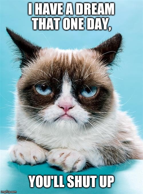 Grumpy Cat Has A Dream Too | I HAVE A DREAM THAT ONE DAY, YOU'LL SHUT UP | image tagged in memes,grumpy cat | made w/ Imgflip meme maker