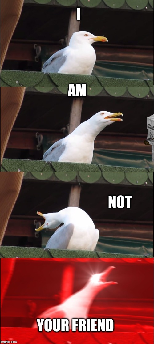 Inhaling Seagull | I; AM; NOT; YOUR FRIEND | image tagged in memes,inhaling seagull | made w/ Imgflip meme maker