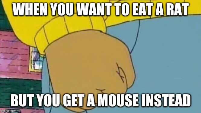 Arthur Fist Meme | WHEN YOU WANT TO EAT A RAT; BUT YOU GET A MOUSE INSTEAD | image tagged in memes,arthur fist | made w/ Imgflip meme maker