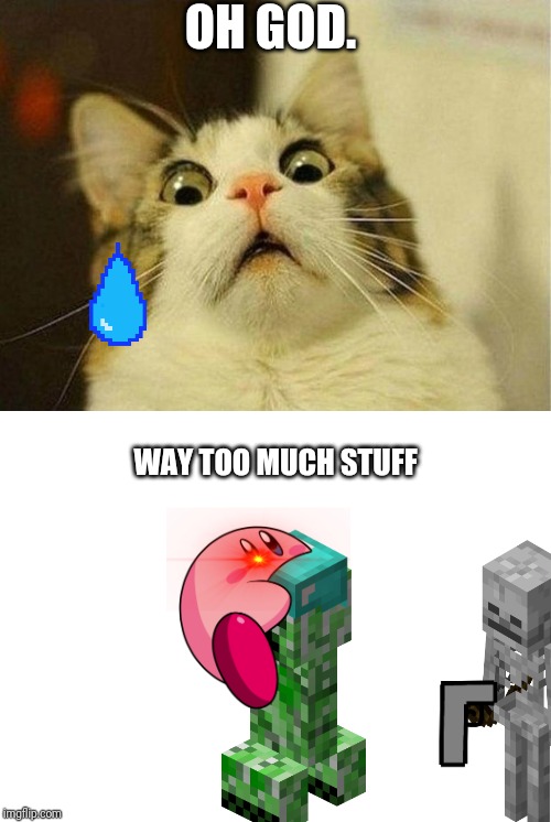 Scared Cat Meme |  OH GOD. WAY TOO MUCH STUFF | image tagged in memes,scared cat | made w/ Imgflip meme maker