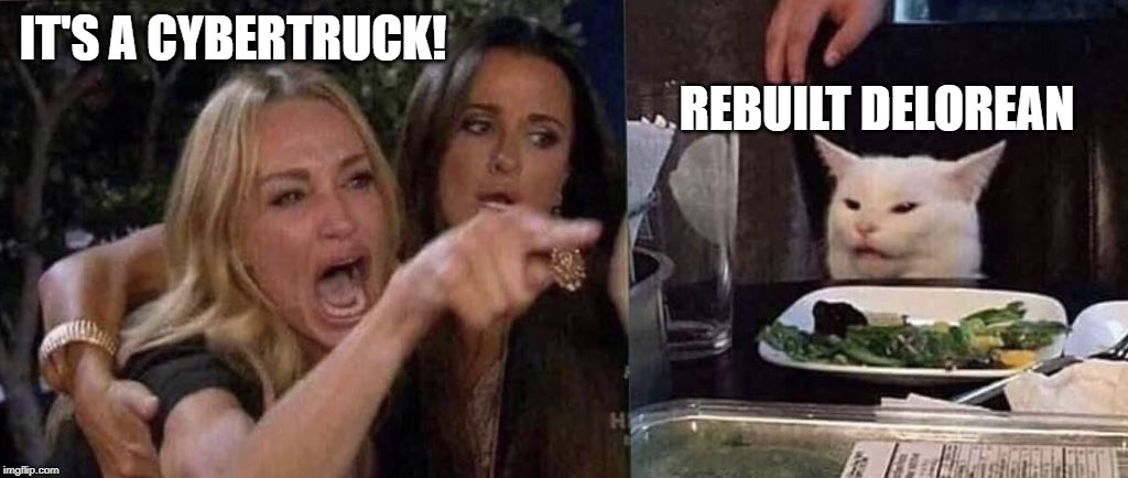 woman yelling at cat | IT'S A CYBERTRUCK! REBUILT DELOREAN | image tagged in woman yelling at cat | made w/ Imgflip meme maker